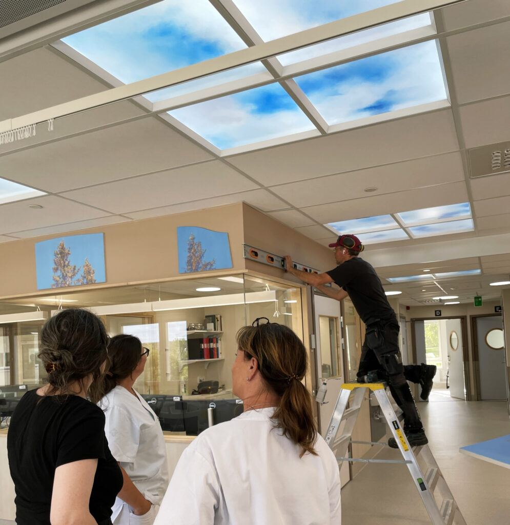 Anna Renströms konstgestaltning Trädmålningar på Dagvården i Örnsköldsviks sjukhus.