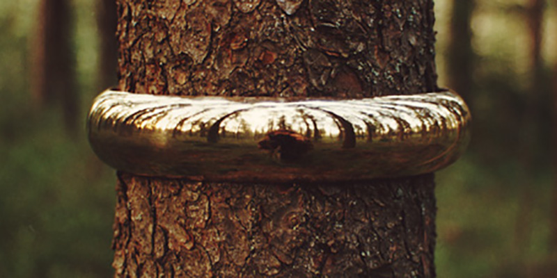 Alliansring, en förlovningsring av polerad brons kring en trädstam.