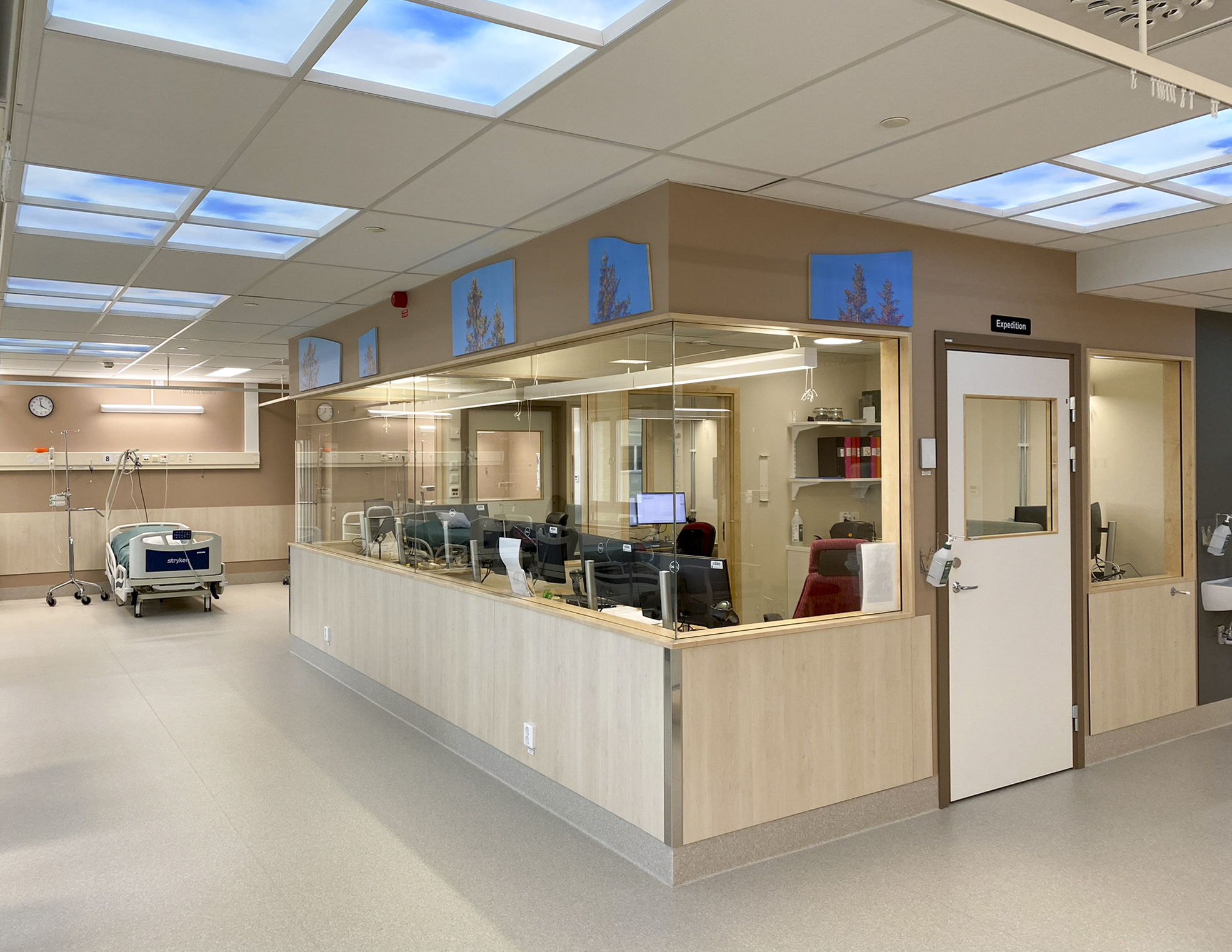 Anna Renströms konstgestaltning Trädmålningar på Dagvården i Örnsköldsviks sjukhus.